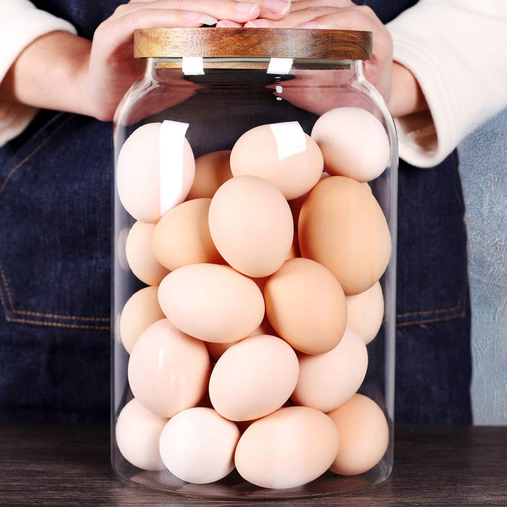 SAIOOL Egg Jar,kitchen canister, 1 Gallon Large Glass Food Storage Jars with Airtight Lid, Clear