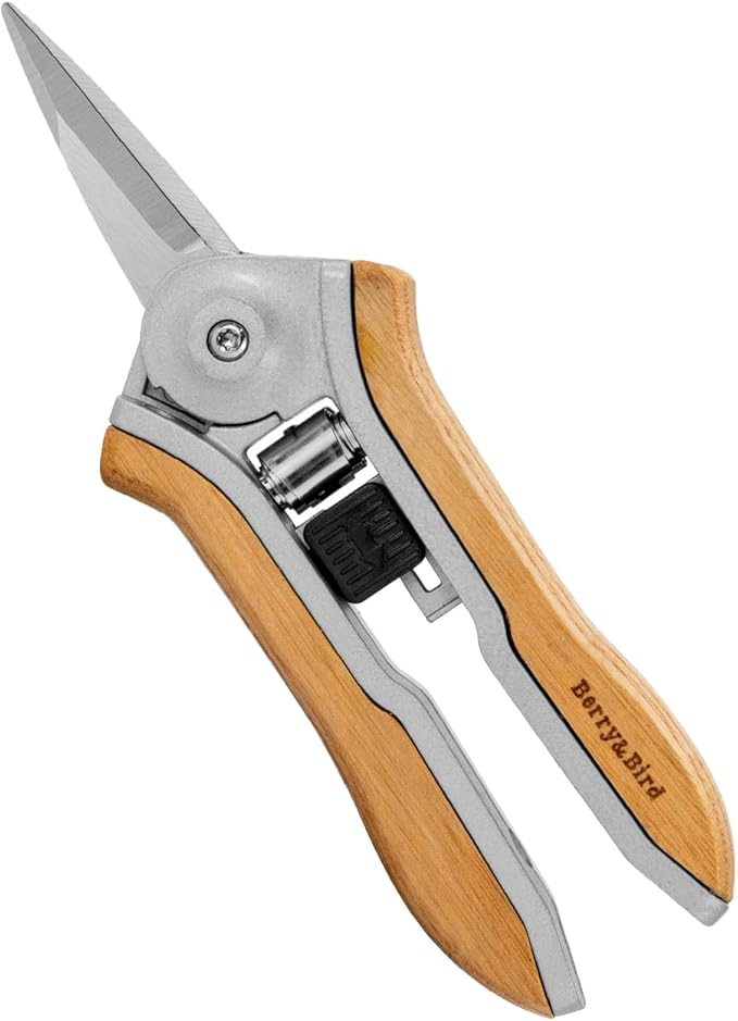Berry&Bird Mini Pruning Shears for Gardening Curved Blades Hand Pruners with Wooden Handle Garden Scissors Snips Stainless Steel Trimming Small Clippers Bonsai Compact Size Sheaering Tool