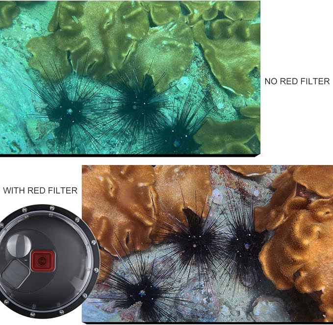 Dome Port for GoPro Hero 8 Black, Dome Port Lens