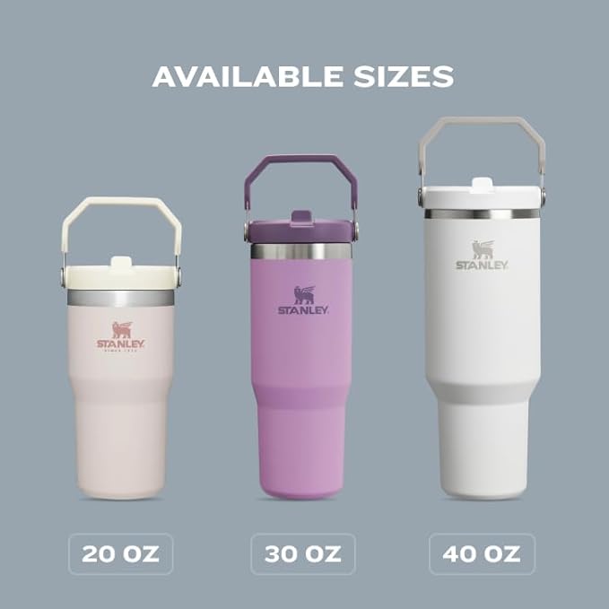 STANLEY IceFlow Flip Straw Tumbler with Handle 30 oz | Twist On Lid and Flip Up Straw | Leak Resistant Water Bottle | Insulated Stainless Steel |BPA-Free | Tigerlily
