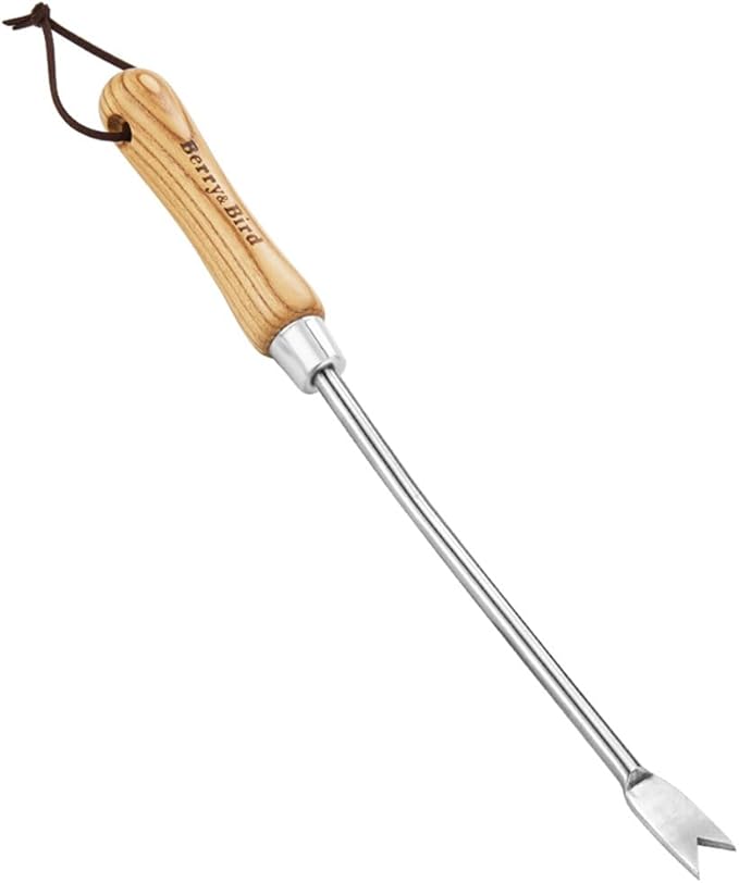 Berry&Bird Crack Weeder, Crevice Weeding Tool, 11.2" Garden Manual Weeder