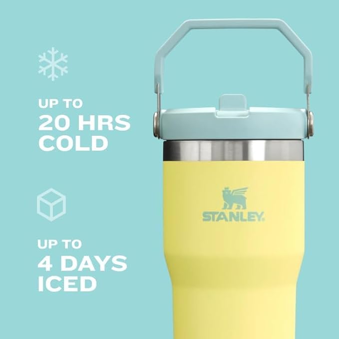 STANLEY IceFlow 2.0 Flip Straw Tumbler with Handle 30 oz | Twist On Lid and Flip Up Straw | Leak Resistant Water Bottle | Insulated Stainless Steel | BPA-Free | Exclusive Toasted Almond