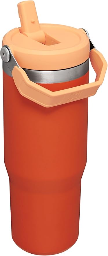 STANLEY IceFlow Flip Straw Tumbler with Handle 30 oz | Twist On Lid and Flip Up Straw | Leak Resistant Water Bottle | Insulated Stainless Steel |BPA-Free | Tigerlily