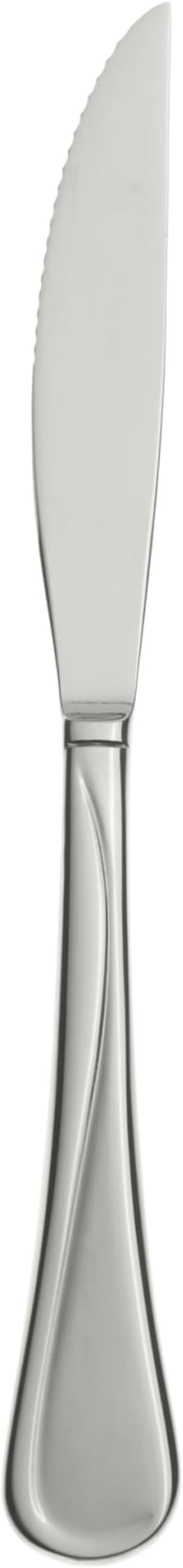 Oneida Flight Steak Knives Silverware Set for 4, Flatware