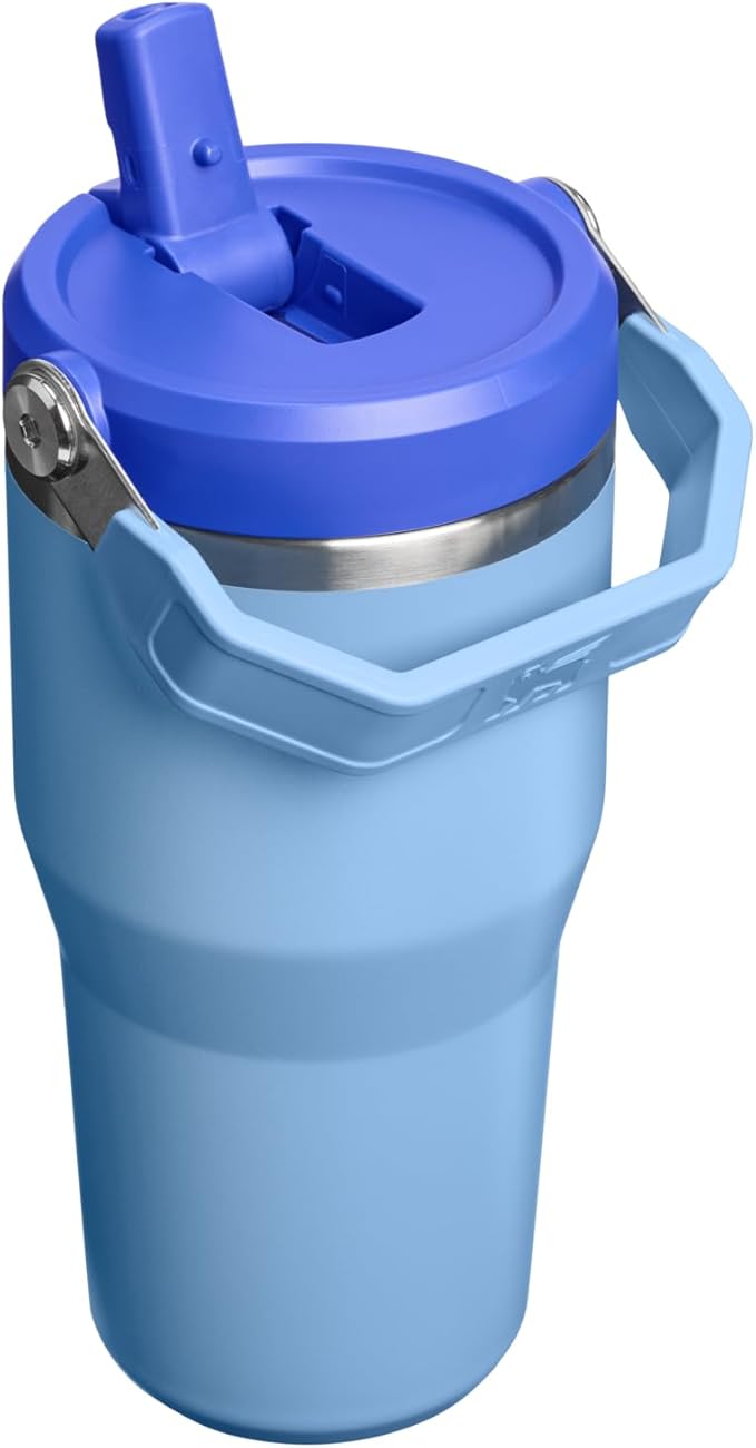 STANLEY IceFlow 2.0 Flip Straw Tumbler with Handle 20 oz | Twist On Lid and Flip Up Straw | Leakproof Water Bottle | Insulated Stainless Steel | BPA-Free | Blue Sky