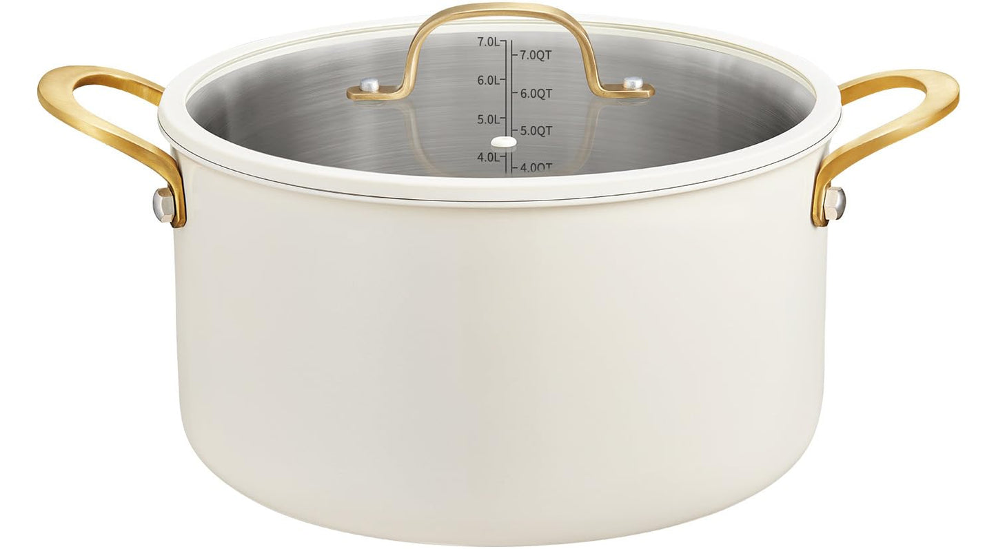 BEZIA 12 Quart Full Clad Try-Ply Stainless Steel Stock Pot, Induction Ready