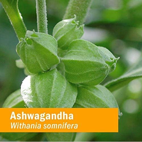Herb Pharm Certified Organic Ashwagandha Extract for Energy and Vitality, Grain, Organic Cane Alcohol, 1 Ounce
