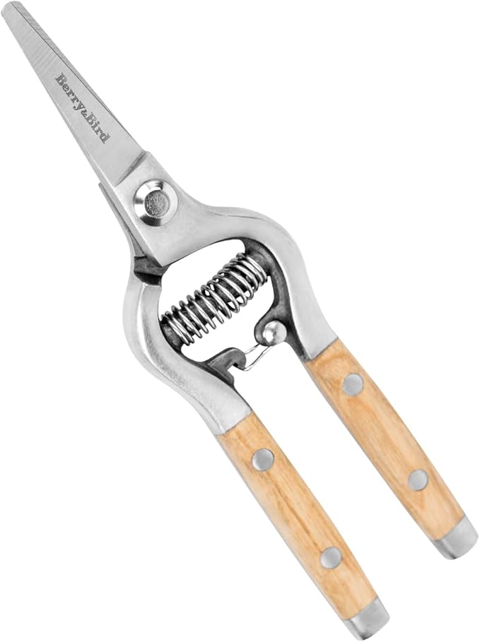 Berry&Bird Mini Pruning Shears for Gardening Curved Blades Hand Pruners with Wooden Handle Garden Scissors Snips Stainless Steel Trimming Small Clippers Bonsai Compact Size Sheaering Tool