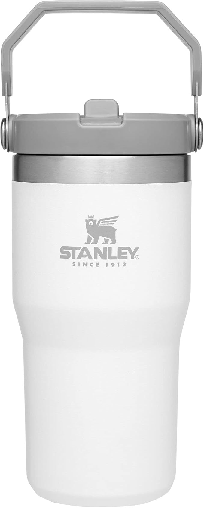 STANLEY IceFlow Flip Straw Tumbler with Handle 20 oz | Twist On Lid and Flip Up Straw | Leak Resistant Water Bottle | Insulated Stainless Steel |BPA-Free | Polar
