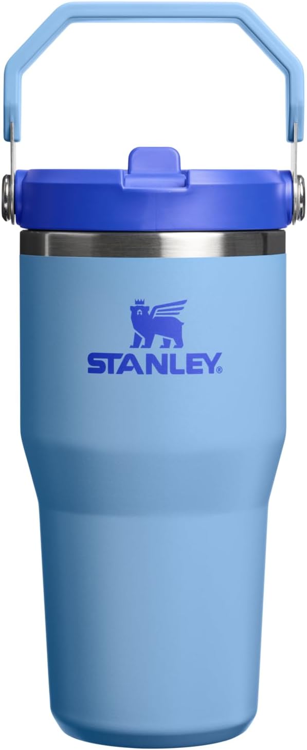 STANLEY IceFlow 2.0 Flip Straw Tumbler with Handle 20 oz | Twist On Lid and Flip Up Straw | Leakproof Water Bottle | Insulated Stainless Steel | BPA-Free | Blue Sky