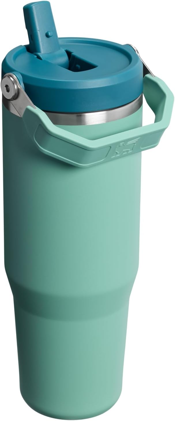 STANLEY IceFlow 2.0 Flip Straw Tumbler with Handle 30 oz | Twist On Lid and Flip Up Straw | Leakproof Water Bottle | Insulated Stainless Steel | BPA-Free | Spring Green