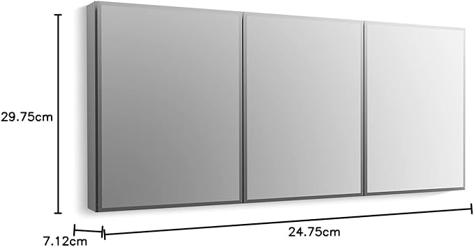 Kohler CB-CLC2026FS Frameless Bathroom Mirror Medicine Cabinet, Single Door, Rectangular Beveled Edge Frame, Bathroom Cabinet Mirror, Adjustable Shelves, 20 in. W x 26 in. H