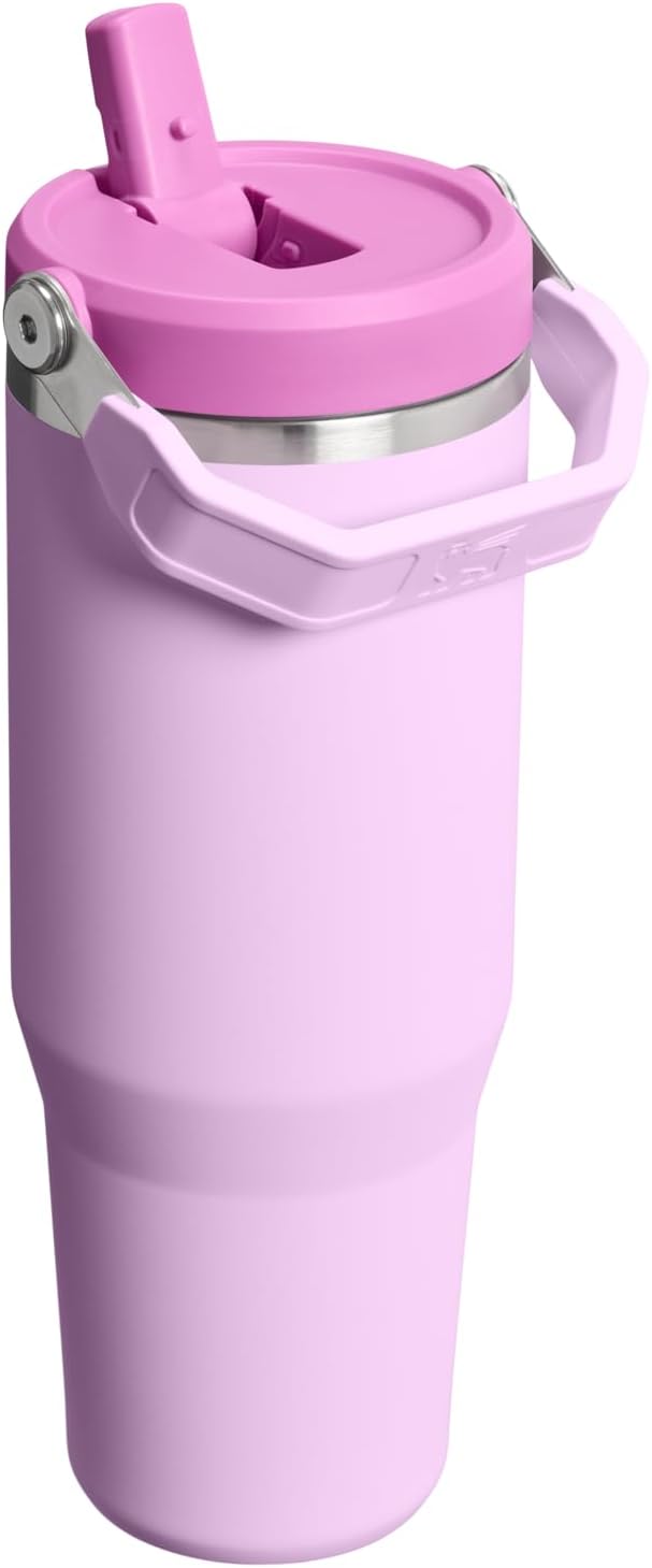 STANLEY IceFlow 2.0 Flip Straw Tumbler with Handle 30 oz | Twist On Lid and Flip Up Straw | Leakproof Water Bottle | Insulated Stainless Steel | BPA-Free | Soft Orchid