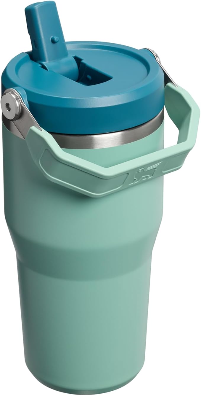 STANLEY IceFlow 2.0 Flip Straw Tumbler with Handle 20 oz | Twist On Lid and Flip Up Straw | Leakproof Water Bottle | Insulated Stainless Steel | BPA-Free | Spring Green