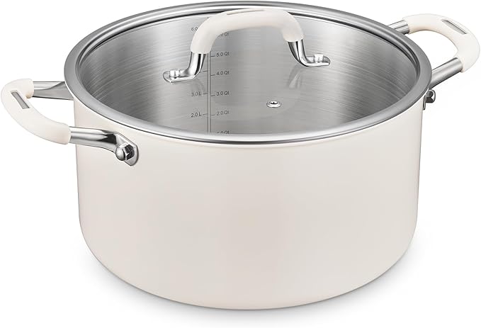 BEZIA 6QT Fully Clad 3-Ply Stainless Steel Stock Pot with Lid, Cooking Pot