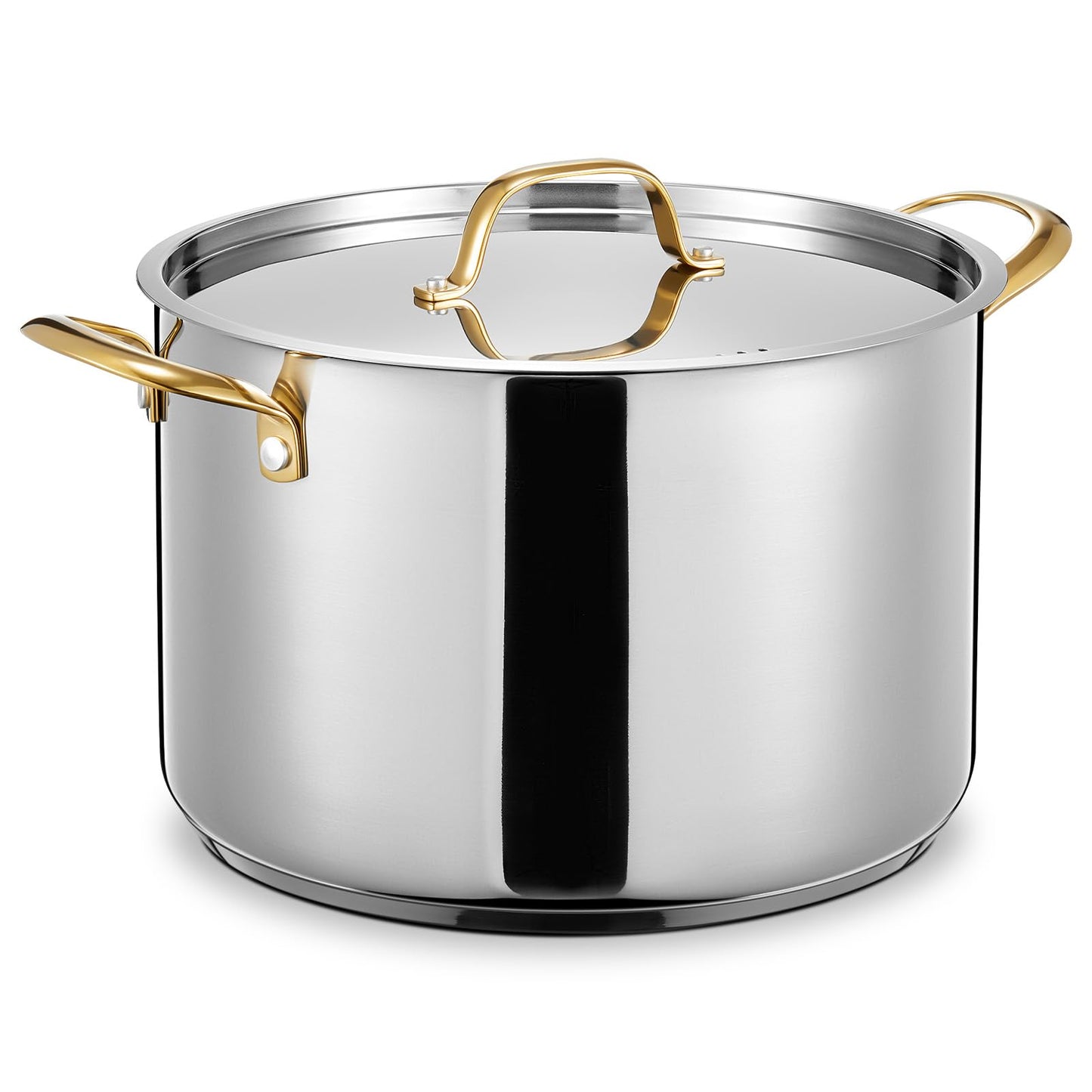 BEZIA 12 QT Stainless Steel Stock Pot, Uncoated Large Soup Pot with Lid