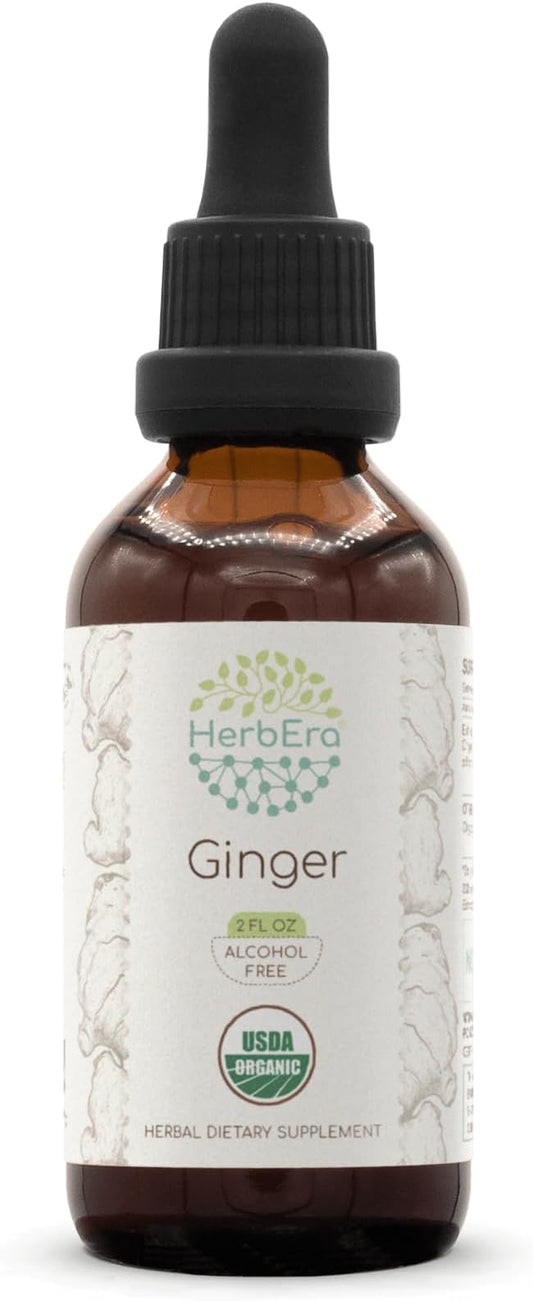 Ginger B60 USDA Organic Tincture | Alcohol-Free Extract, High-Potency Herbal Drops | Certified Organic Ginger (Zingiber officinale) Dried Root (2 oz)