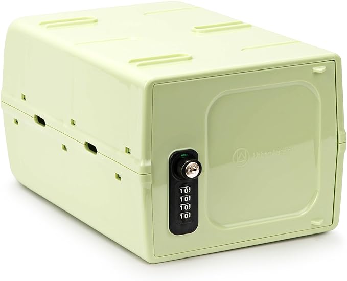 Urban August Dual Combination & Keyed Lockbox - Lockable Box for Everyday Use - Multi-Purpose lock for Home & Office Safety - Made of Industrial-Grade Plastic - One Size (Spring Green)