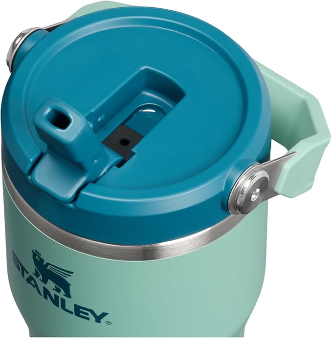 STANLEY IceFlow 2.0 Flip Straw Tumbler with Handle 20 oz | Twist On Lid and Flip Up Straw | Leakproof Water Bottle | Insulated Stainless Steel | BPA-Free | Spring Green