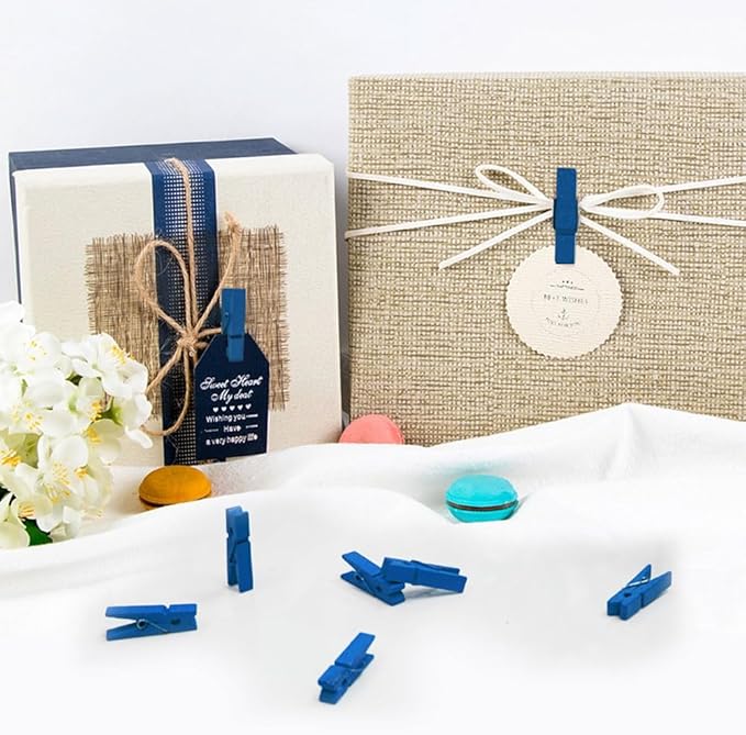 Mini Clothes pins