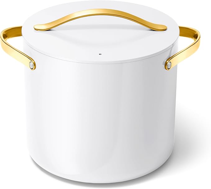 Caraway 12 qt Ceramic-Coated Stock Pot with Lid