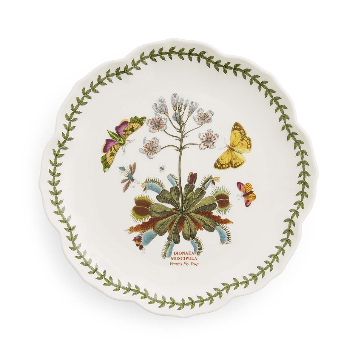 Portmeirion Botanic Garden Lotus Salad Plates - Scalloped Rim, Set of 4