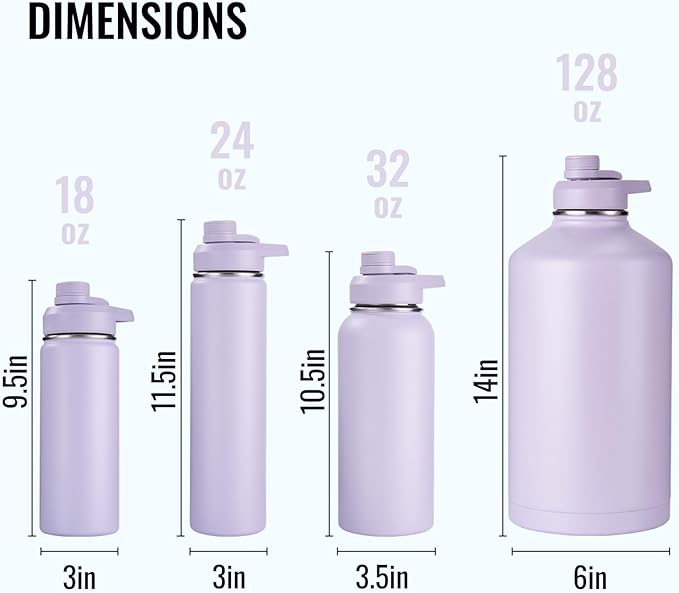 Gallon Water Bottle with 2 Lids (Straw & Spout), 304 Stainless Steel Water Jug with Handle and Wide Mouth, 1 Gallon Vacuum Double Walled Jug for Sports, Outdoors, Purple, 128 oz