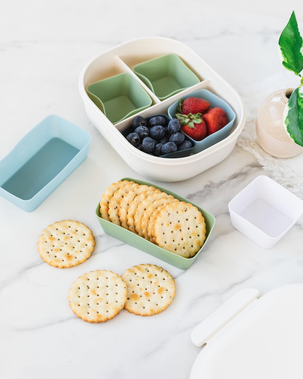 The Silicone Kitchen Reusable Silicone Baking Cup Silicone Muffin Liners for Cupcakes, BPA Free, Regular, 24 Pack, White Blue Green