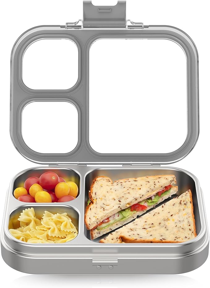 HOMEKOL Stainless Steel Bento Lunch Box, Grey, 3.3Cups