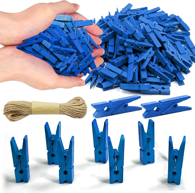 Mini Clothes pins