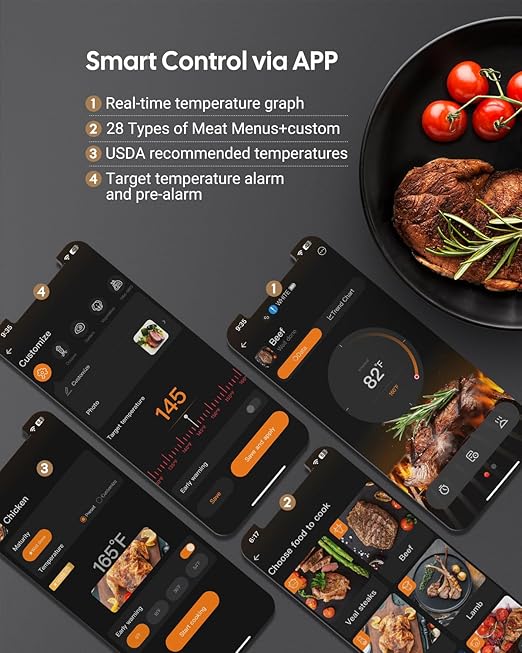 WiFi Bluetooth Meat Thermometer 2 Probes, IP67 Waterproof for Smoker Oven Cooking Large
