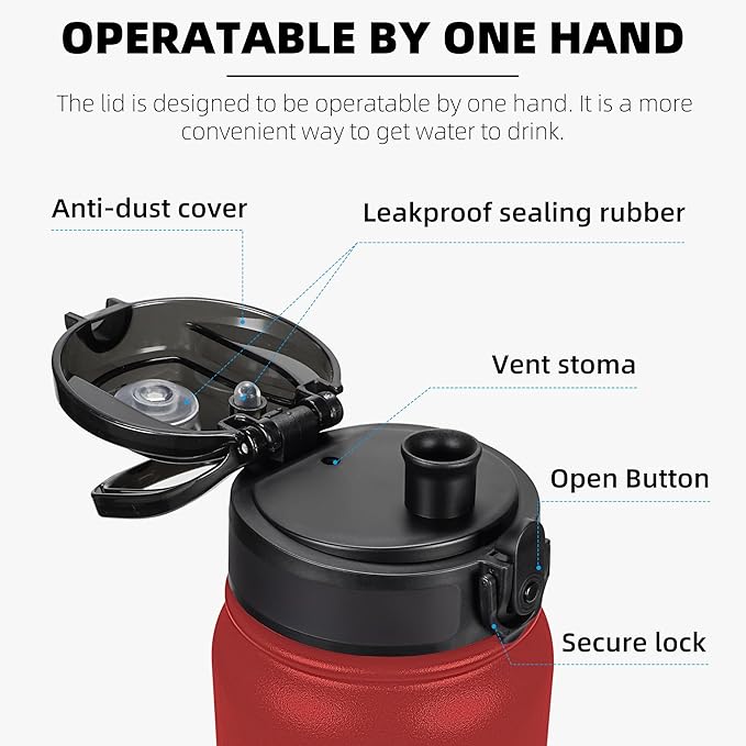 Fanhaw 20 oz Insulated Stainless Steel Water Bottle with Anti-Dust Chug Lid, Leakproof Vacuum Metal Bottle for Kids, Women & Men (Red)