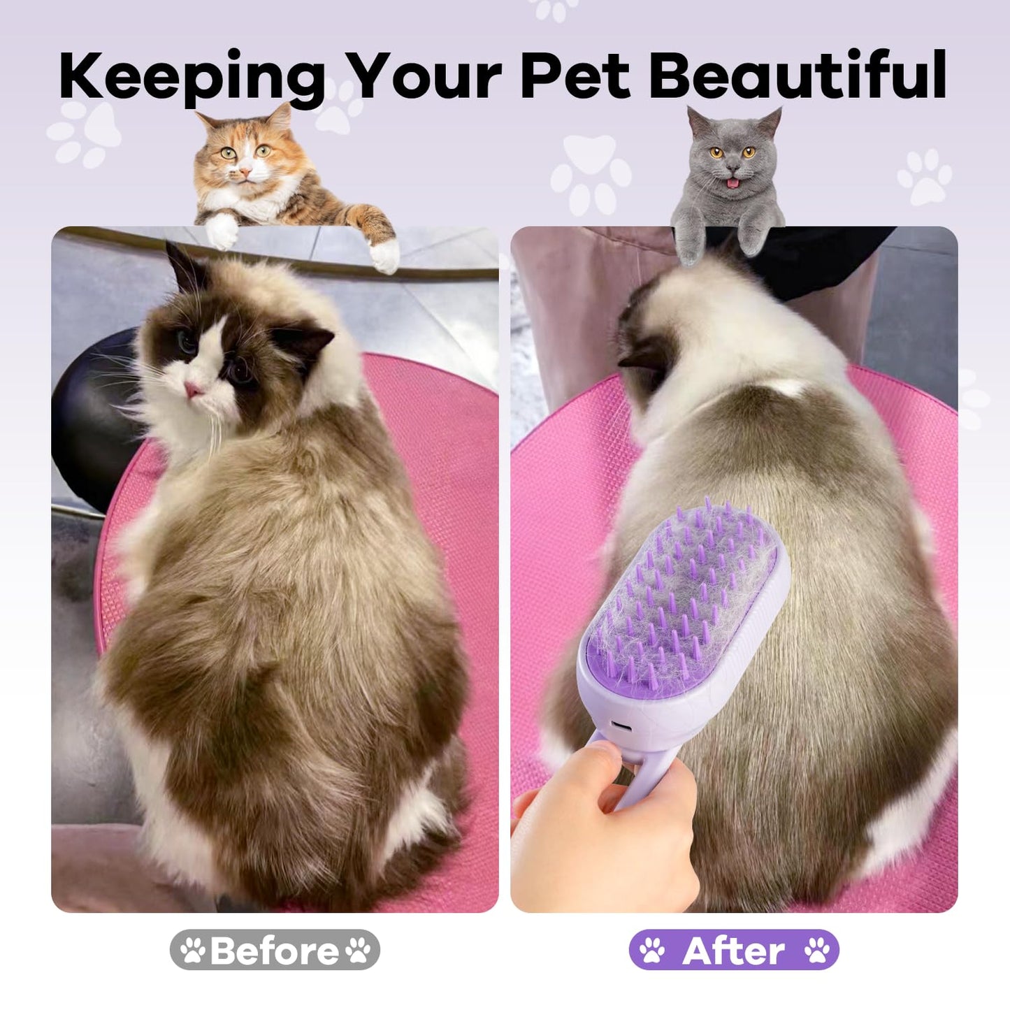 SILVLF Cat Steam Brush