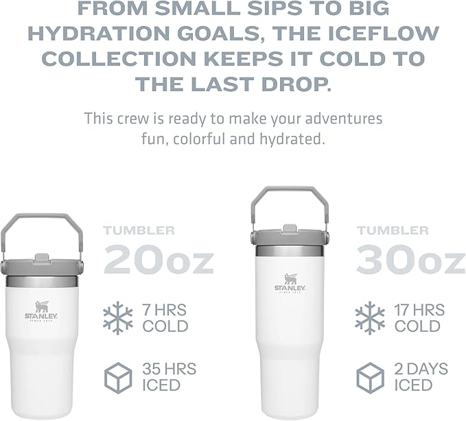 Stanley IceFlow Flip Straw Tumbler with Handle 30 oz | Twist On Lid and Flip Up Straw | Leak Resistant Water Bottle | Insulated Stainless Steel |BPA-Free | Polar