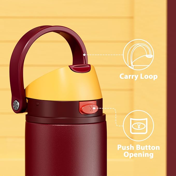 24 oz Insulated Water Bottle for Women: Meoky Stainless Steel Water Bottle with Straw and Spout Lid - Leak Proof, Cold for 24 Hours, Fits in Car Cup Holder, BPA-Free for Sports Travel, Gryffindor