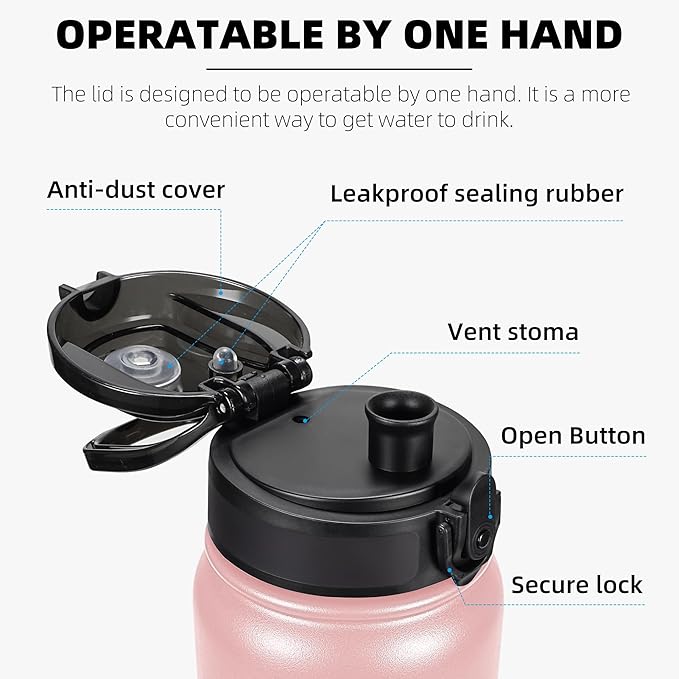 Fanhaw 20 oz Insulated Stainless Steel Water Bottle with Anti-Dust Chug Lid, Leakproof Vacuum Metal Bottle for Kids, Women & Men (Pink)