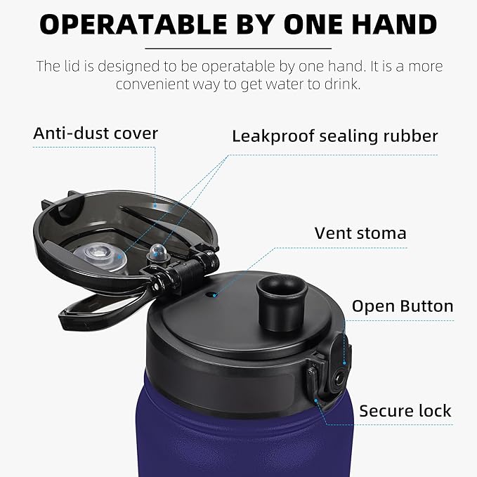 Fanhaw 32 Oz Insulated Stainless Steel Vacuum Water Bottle with Anti-Dust Pop-Open Lid - For Kids, Women, Men | Leak & Sweat Proof (Purple Green)