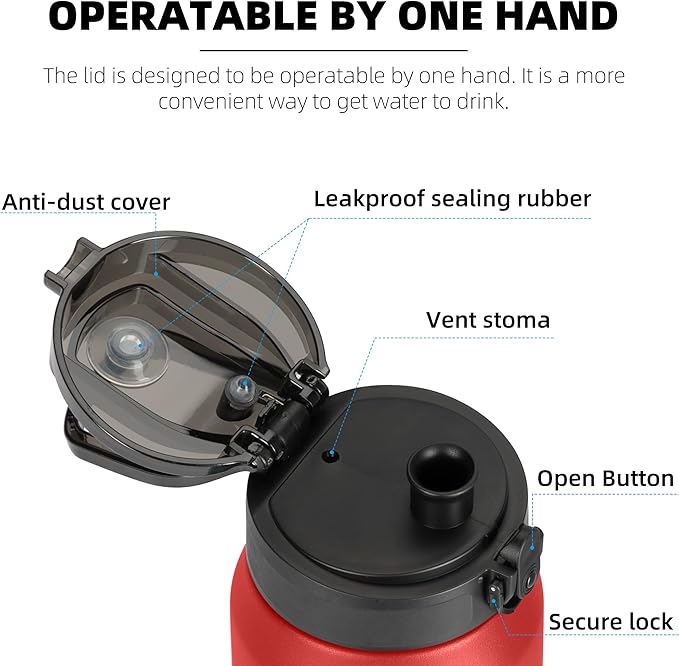 Fanhaw 24 oz Insulated Stainless Steel Water Bottle with Anti-Dust Chug Lid, Leakproof Vacuum Metal Bottle for Kids, Women & Men (Red)