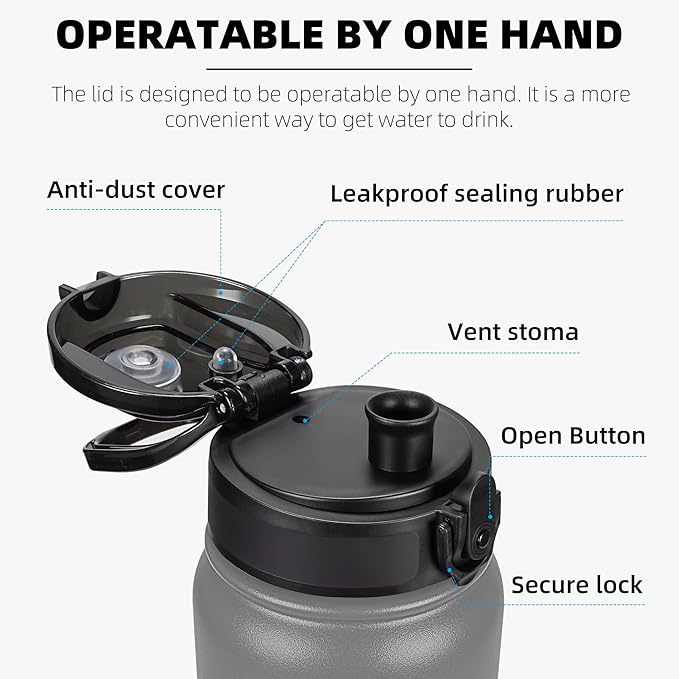 Fanhaw 20 oz Insulated Stainless Steel Water Bottle with Anti-Dust Chug Lid, Leakproof Vacuum Metal Bottle for Kids, Women & Men (Gray)