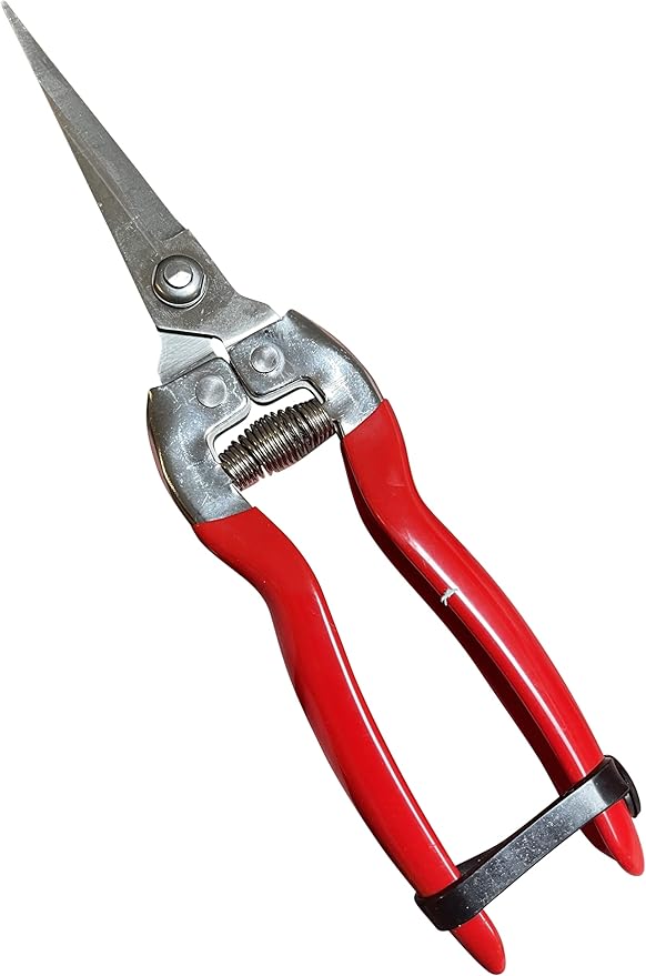 Garden Guru Extra Long Stainless Steel Pruner Pruning Shears Clippers Snips – Sharp Bonsai Cutter Plant Trimming Scissors – Straight Blade Garden Scissors Tool – Great for Roses Flowers Herbs Fruits