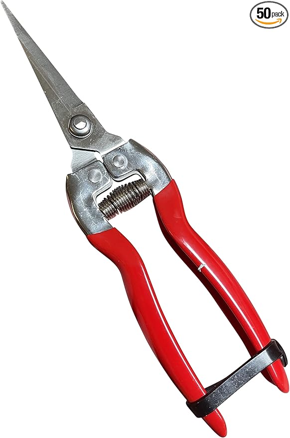 Garden Guru Extra Long Stainless Steel Pruner Pruning Shears Clippers Snips – Sharp Bonsai Cutter Plant Trimming Scissors – Straight Blade Garden Scissors Tool – Great for Roses Flowers Herbs Fruits