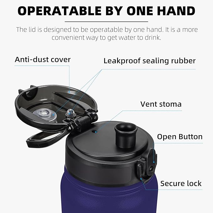 Fanhaw 20 oz Insulated Stainless Steel Water Bottle with Anti-Dust Chug Lid, Leakproof Vacuum Metal Bottle for Kids, Women & Men (Purple Green)