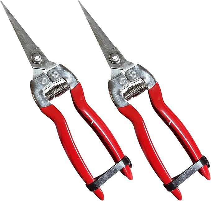 Garden Guru Extra Long Stainless Steel Pruner Pruning Shears Clippers Snips – Sharp Bonsai Cutter Plant Trimming Scissors – Straight Blade Garden Scissors Tool – Great for Roses Flowers Herbs Fruits