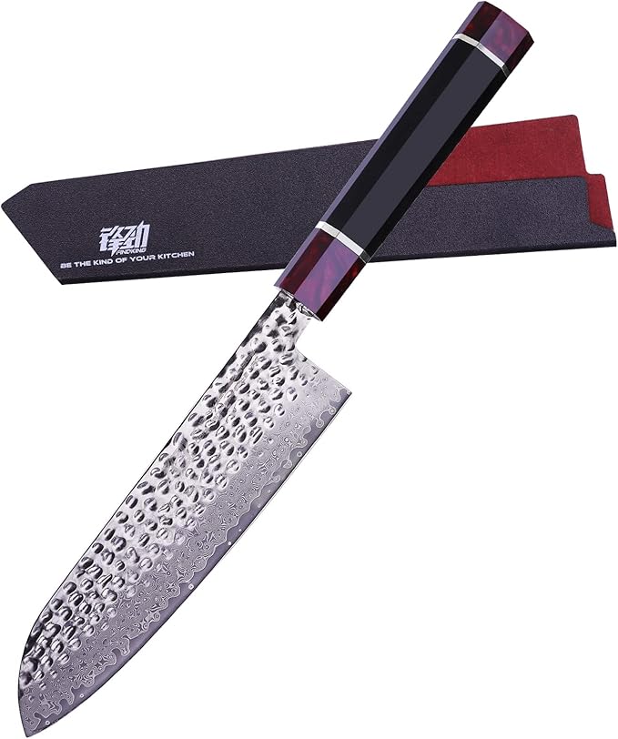 FINDKING Eternity Series Japanese Chef Knife with ABS sheath, Professional Kitchen Knife, 9Cr18MoV Damascus Steel Blade, Resin Octagonal Handle, Sharp, for Meat Cutting, 8 Inches