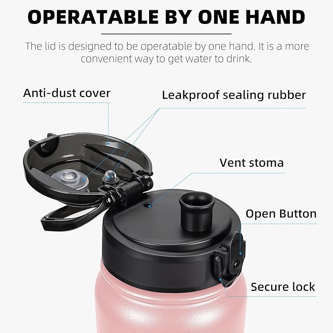 Fanhaw 32 oz Insulated Stainless Steel Water Bottle with Anti-Dust Chug Lid, Leakproof Vacuum Sports Bottle for Men & Women (Pink)