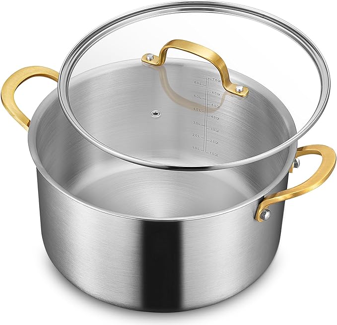 BEZIA 10 QT Stock Pot with Lid, Full Clad Tri-Ply Stainless Steel Soup Pot