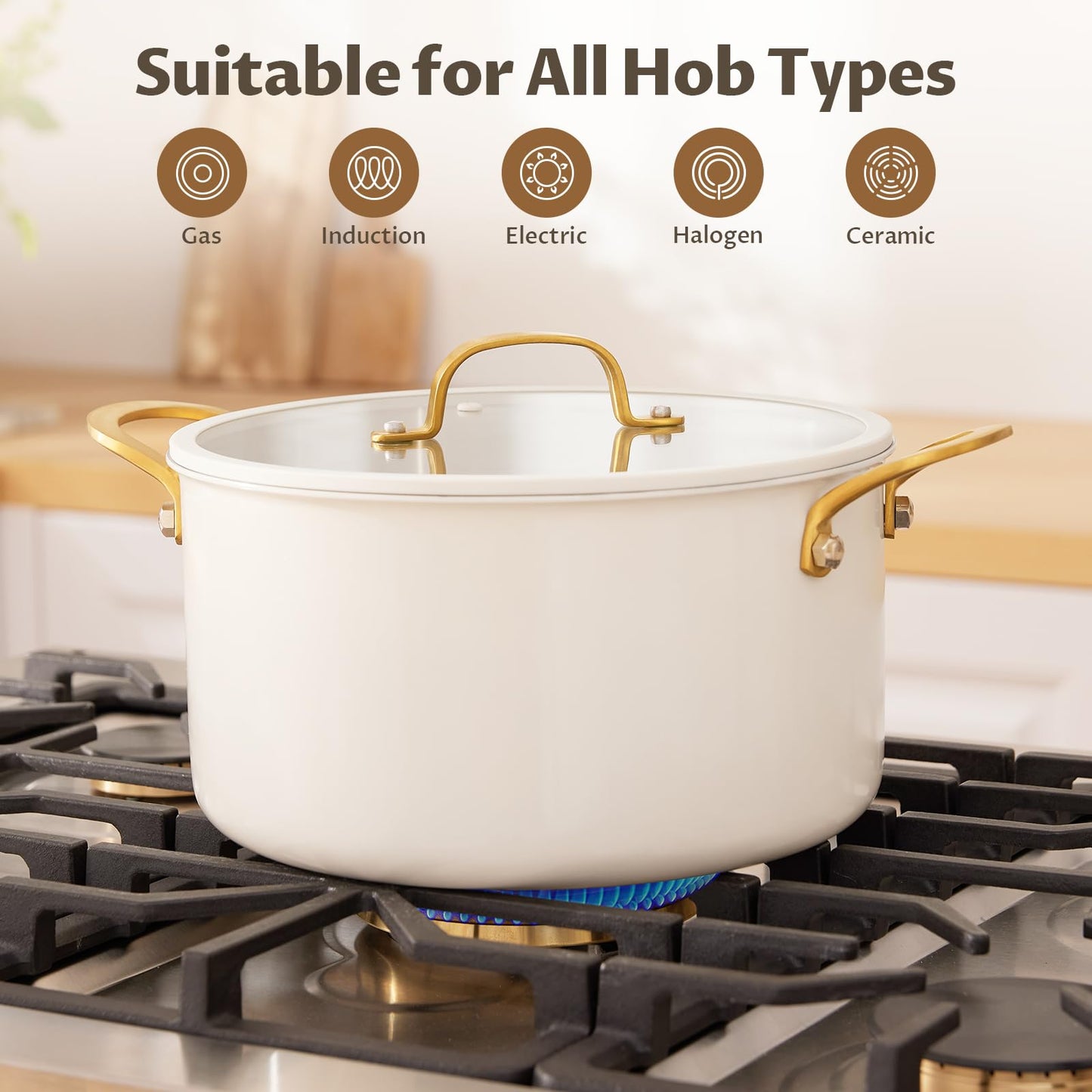 BEZIA 12 Quart Full Clad Try-Ply Stainless Steel Stock Pot, Induction Ready