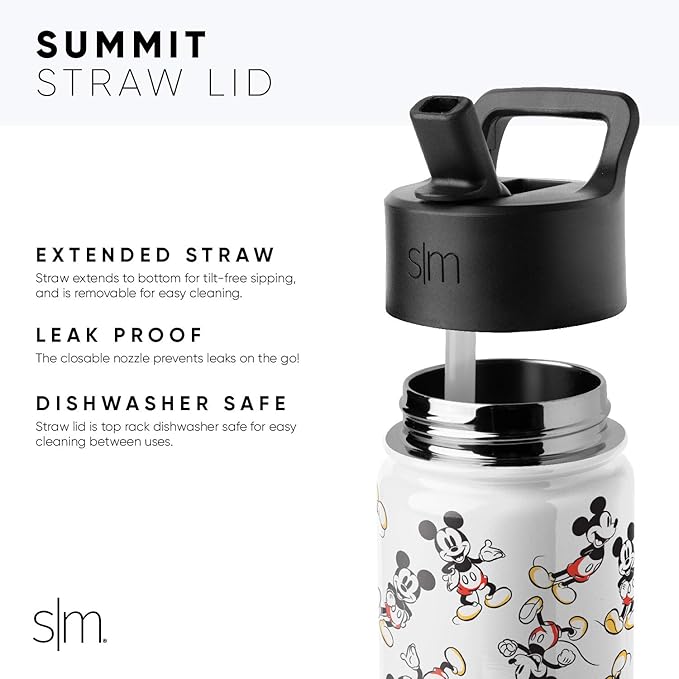Simple Modern Kids Summit Water Bottle with Straw Lid | Disney Wish 18oz Stainless Steel Cup Insulated Tumbler for Girls, School | Asha's Adventure