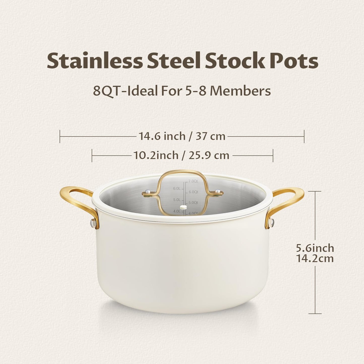 BEZIA 12 Quart Full Clad Try-Ply Stainless Steel Stock Pot, Induction Ready