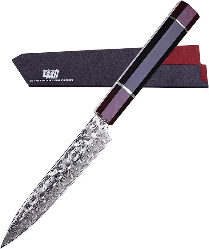 FINDKING Eternity Series Japanese Chef Knife with ABS sheath, Professional Kitchen Knife, 9Cr18MoV Damascus Steel Blade, Resin Octagonal Handle, Sharp, for Meat Cutting, 8 Inches